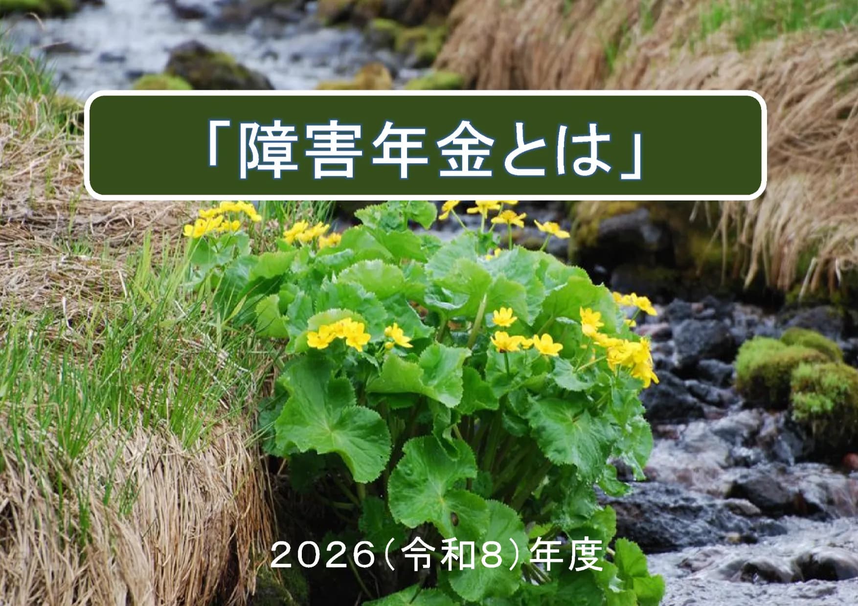 障害年金スライド1